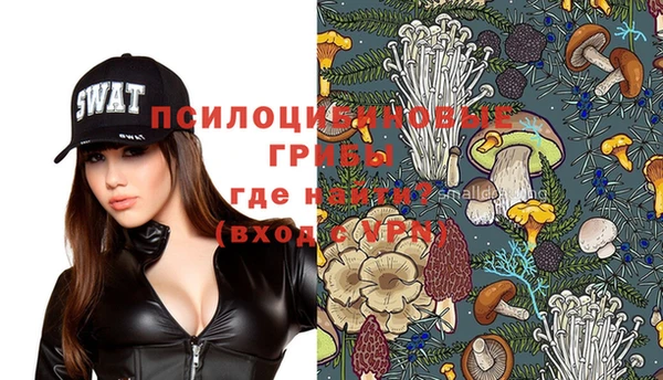 тгк Белокуриха