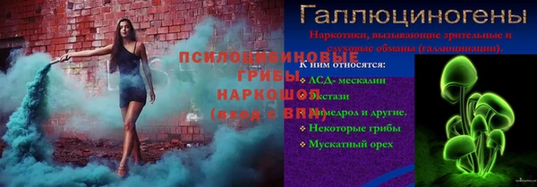 тгк Белокуриха